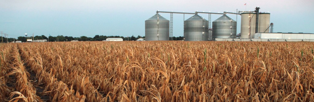 Ethanol Industry Threatened By Midwest Drought